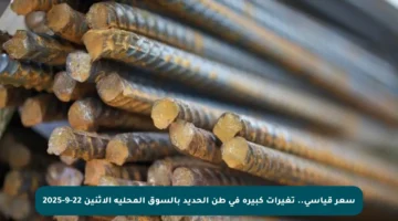سعر قياسي.. تغيرات كبيرة في طن الحديد بالسوق المحلية الاثنين 22-9-2025